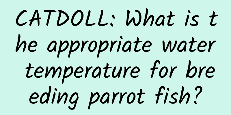 CATDOLL: What is the appropriate water temperature for breeding parrot fish?