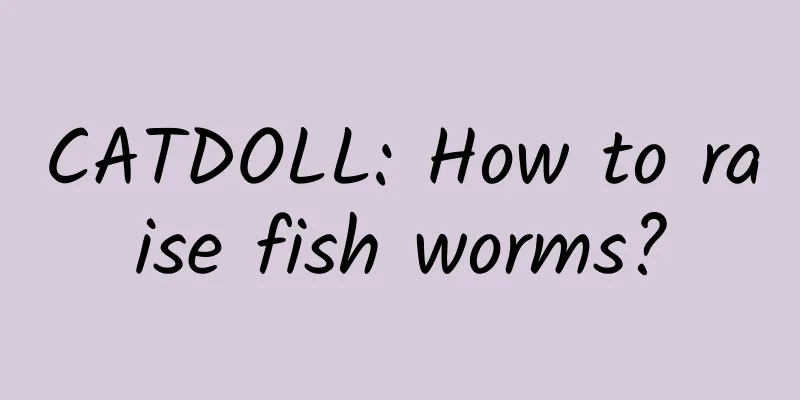 CATDOLL: How to raise fish worms?