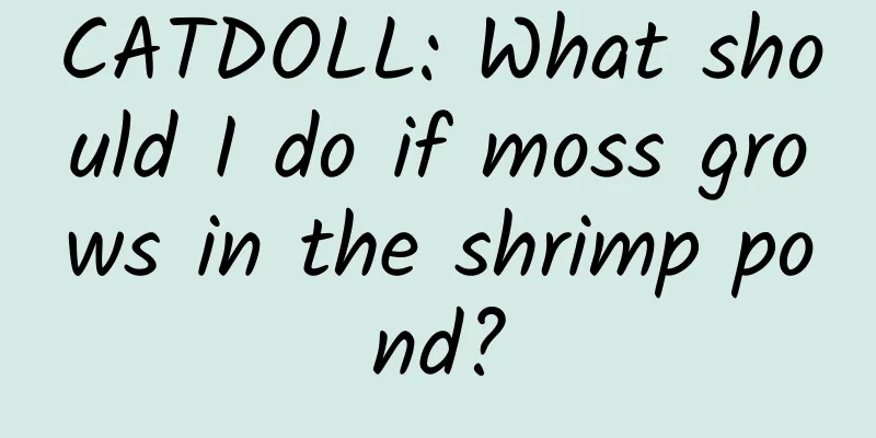 CATDOLL: What should I do if moss grows in the shrimp pond?