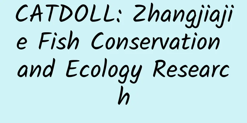 CATDOLL: Zhangjiajie Fish Conservation and Ecology Research