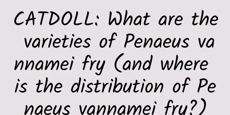 CATDOLL: What are the varieties of Penaeus vannamei fry (and where is the distribution of Penaeus vannamei fry?)