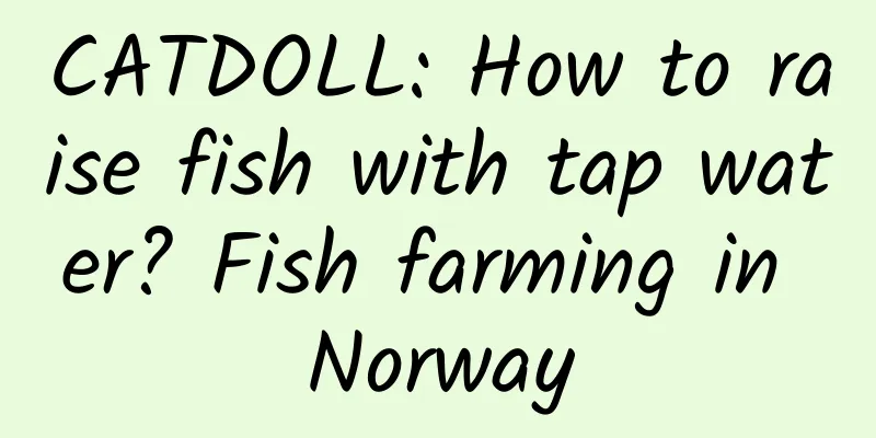 CATDOLL: How to raise fish with tap water? Fish farming in Norway