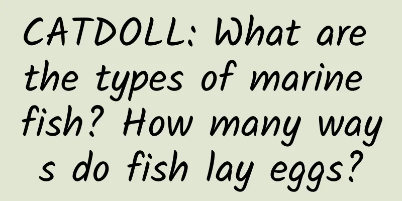 CATDOLL: What are the types of marine fish? How many ways do fish lay eggs?
