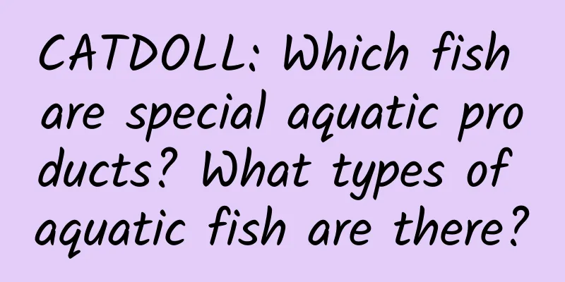 CATDOLL: Which fish are special aquatic products? What types of aquatic fish are there?