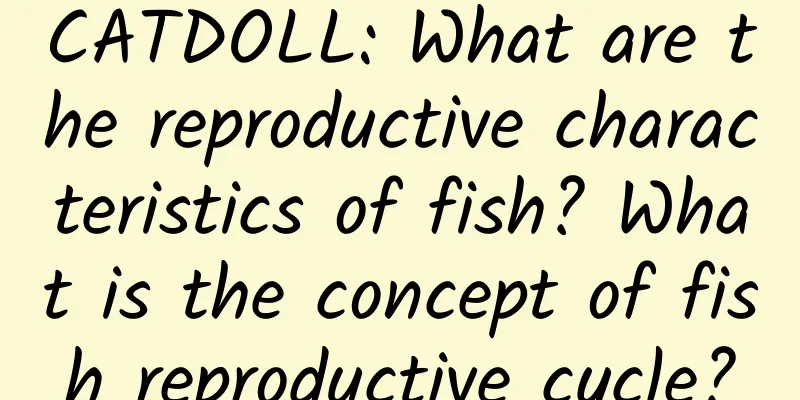 CATDOLL: What are the reproductive characteristics of fish? What is the concept of fish reproductive cycle?