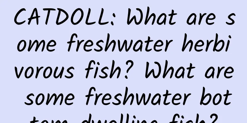 CATDOLL: What are some freshwater herbivorous fish? What are some freshwater bottom-dwelling fish?