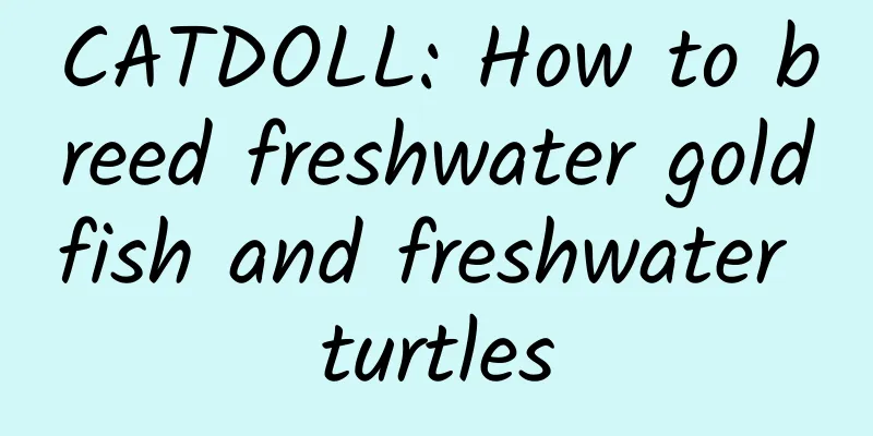 CATDOLL: How to breed freshwater goldfish and freshwater turtles