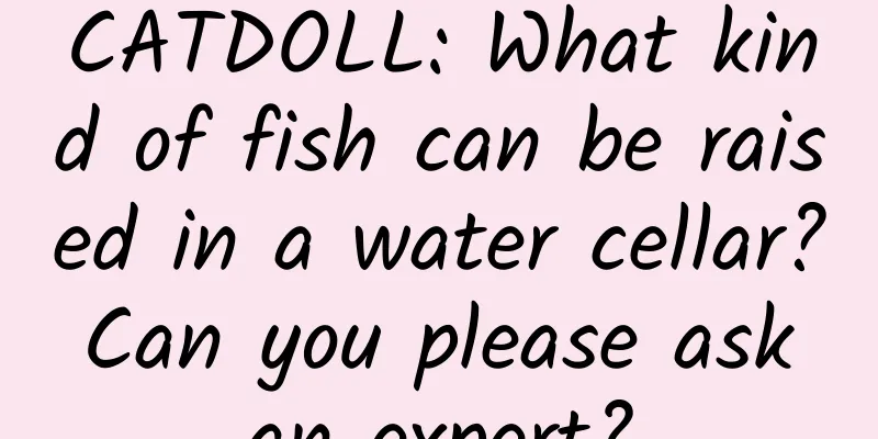 CATDOLL: What kind of fish can be raised in a water cellar? Can you please ask an expert?