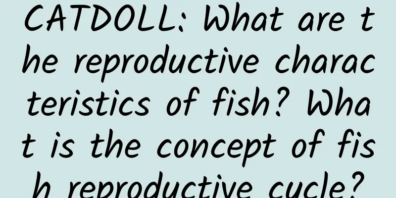 CATDOLL: What are the reproductive characteristics of fish? What is the concept of fish reproductive cycle?