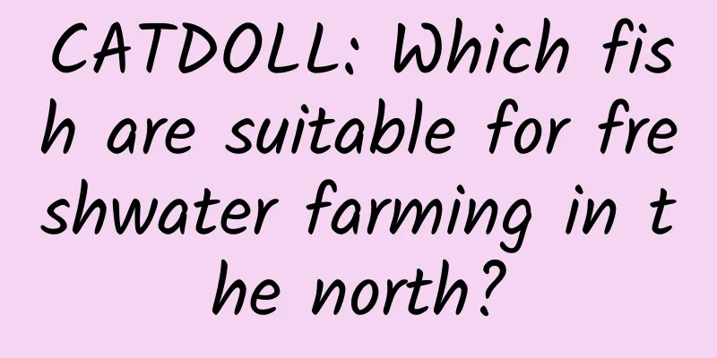 CATDOLL: Which fish are suitable for freshwater farming in the north?