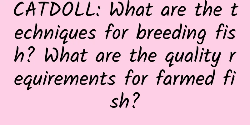 CATDOLL: What are the techniques for breeding fish? What are the quality requirements for farmed fish?