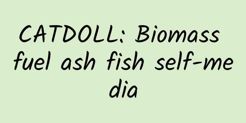 CATDOLL: Biomass fuel ash fish self-media