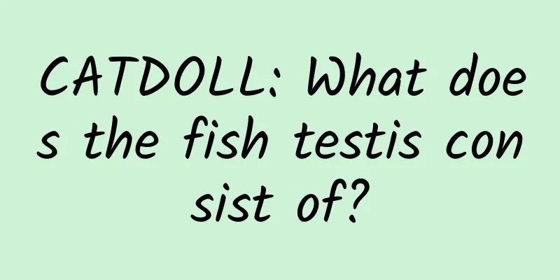 CATDOLL: What does the fish testis consist of?