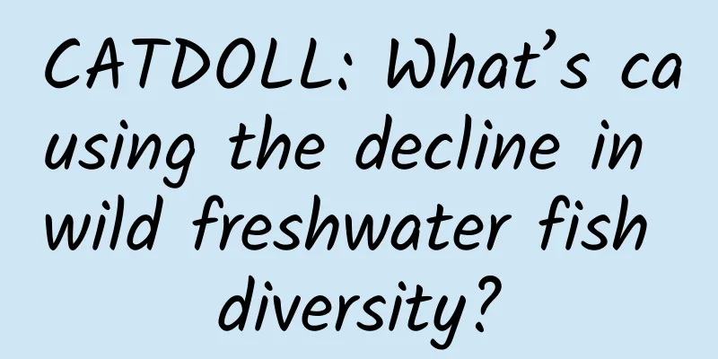 CATDOLL: What’s causing the decline in wild freshwater fish diversity?
