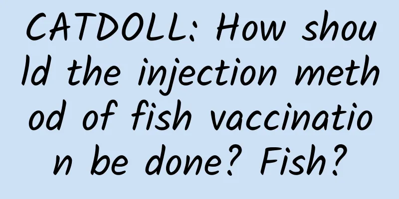 CATDOLL: How should the injection method of fish vaccination be done? Fish?