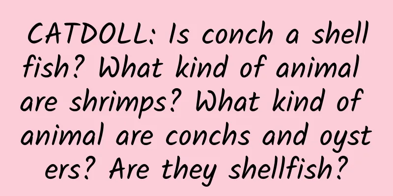 CATDOLL: Is conch a shellfish? What kind of animal are shrimps? What kind of animal are conchs and oysters? Are they shellfish?