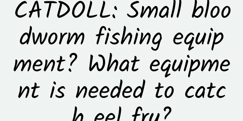 CATDOLL: Small bloodworm fishing equipment? What equipment is needed to catch eel fry?
