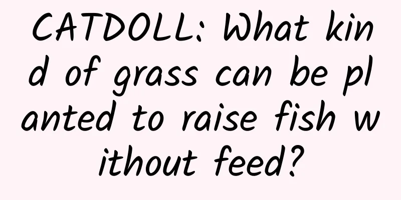 CATDOLL: What kind of grass can be planted to raise fish without feed?