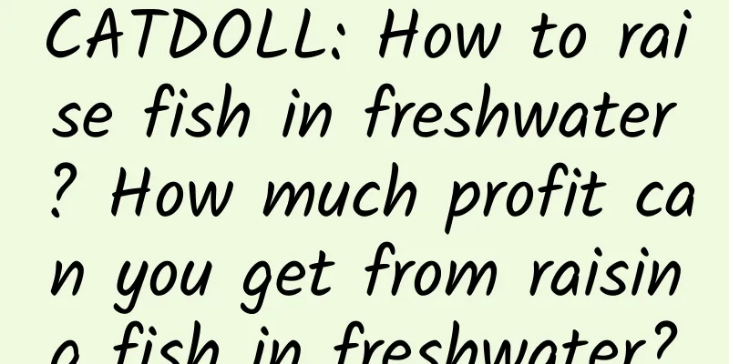 CATDOLL: How to raise fish in freshwater? How much profit can you get from raising fish in freshwater?