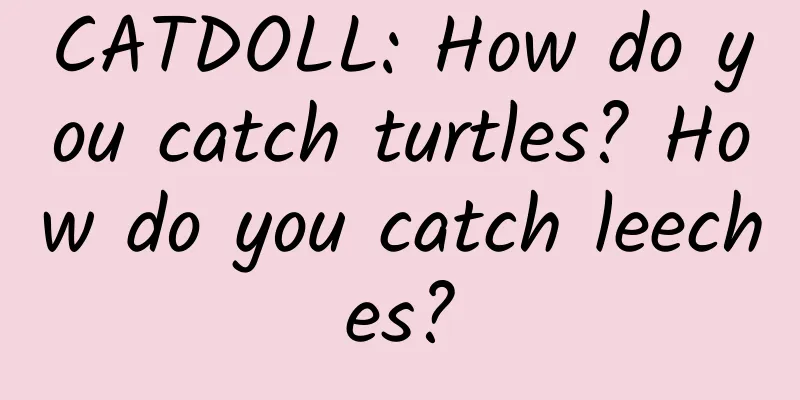 CATDOLL: How do you catch turtles? How do you catch leeches?