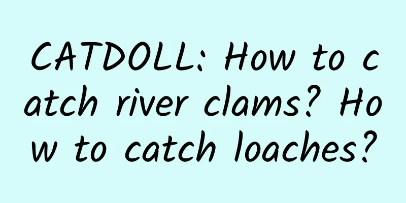 CATDOLL: How to catch river clams? How to catch loaches?