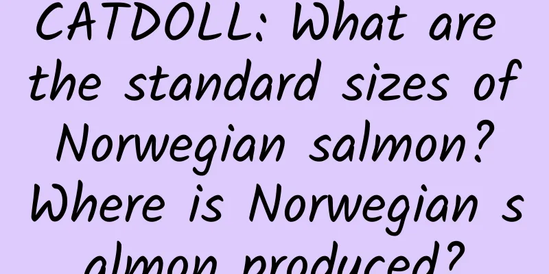 CATDOLL: What are the standard sizes of Norwegian salmon? Where is Norwegian salmon produced?