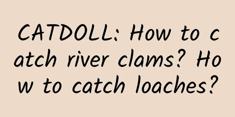 CATDOLL: How to catch river clams? How to catch loaches?
