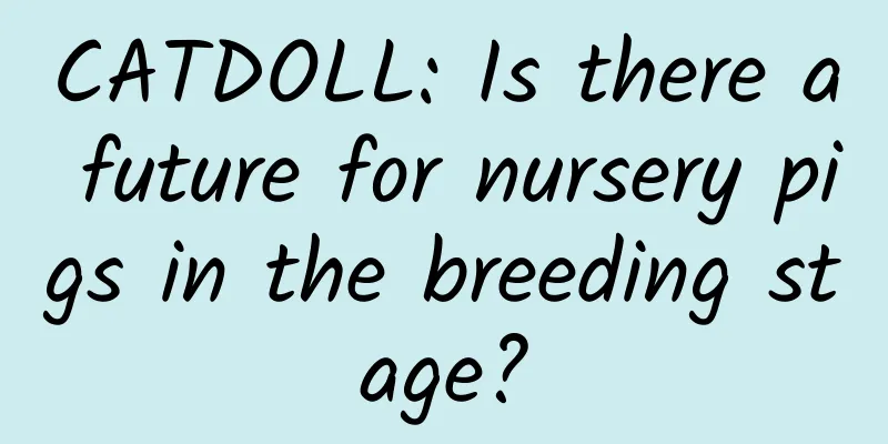 CATDOLL: Is there a future for nursery pigs in the breeding stage?