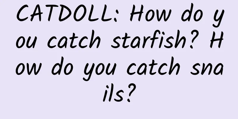 CATDOLL: How do you catch starfish? How do you catch snails?