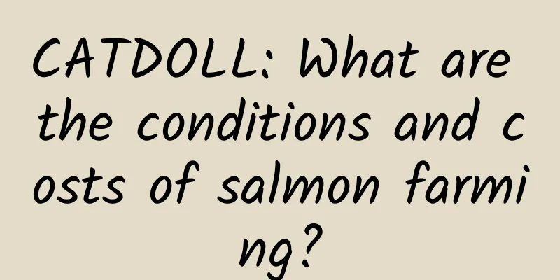 CATDOLL: What are the conditions and costs of salmon farming?