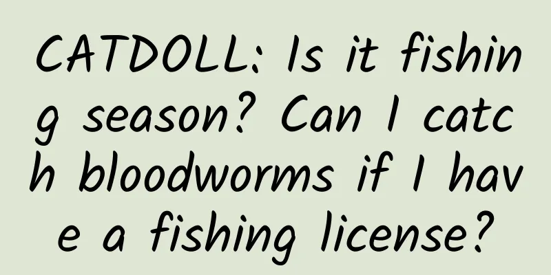CATDOLL: Is it fishing season? Can I catch bloodworms if I have a fishing license?