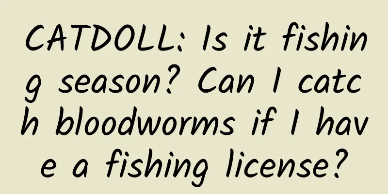 CATDOLL: Is it fishing season? Can I catch bloodworms if I have a fishing license?