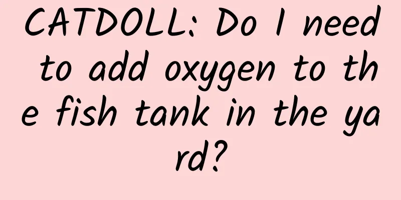 CATDOLL: Do I need to add oxygen to the fish tank in the yard?