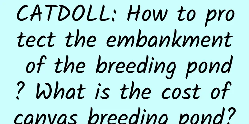 CATDOLL: How to protect the embankment of the breeding pond? What is the cost of canvas breeding pond?