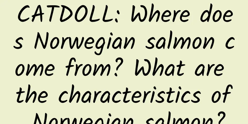 CATDOLL: Where does Norwegian salmon come from? What are the characteristics of Norwegian salmon?