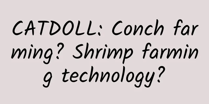 CATDOLL: Conch farming? Shrimp farming technology?