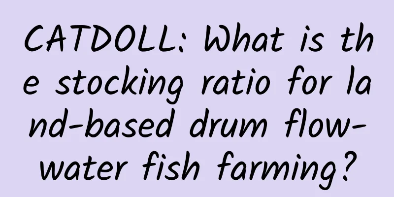 CATDOLL: What is the stocking ratio for land-based drum flow-water fish farming?