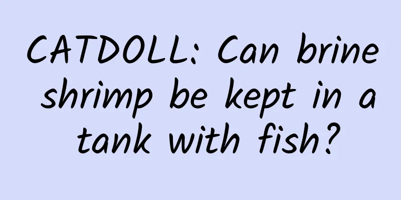CATDOLL: Can brine shrimp be kept in a tank with fish?