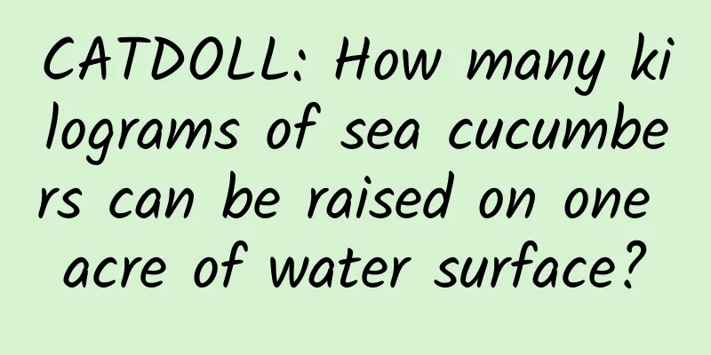 CATDOLL: How many kilograms of sea cucumbers can be raised on one acre of water surface?