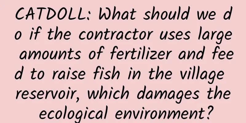 CATDOLL: What should we do if the contractor uses large amounts of fertilizer and feed to raise fish in the village reservoir, which damages the ecological environment?