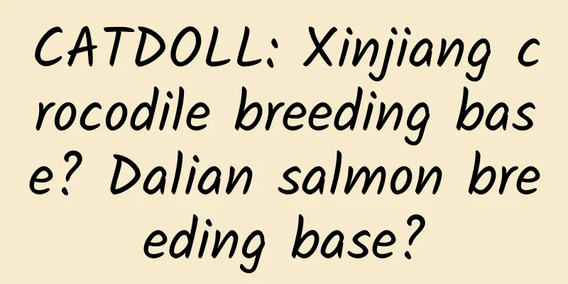 CATDOLL: Xinjiang crocodile breeding base? Dalian salmon breeding base?