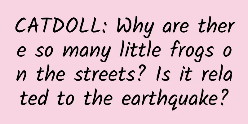 CATDOLL: Why are there so many little frogs on the streets? Is it related to the earthquake?