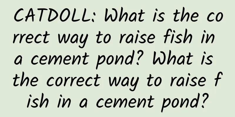 CATDOLL: What is the correct way to raise fish in a cement pond? What is the correct way to raise fish in a cement pond?