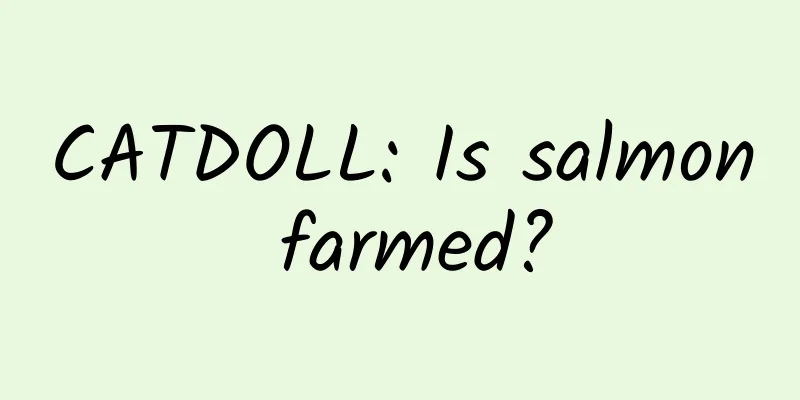 CATDOLL: Is salmon farmed?
