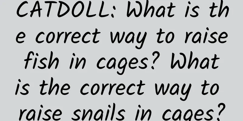 CATDOLL: What is the correct way to raise fish in cages? What is the correct way to raise snails in cages?