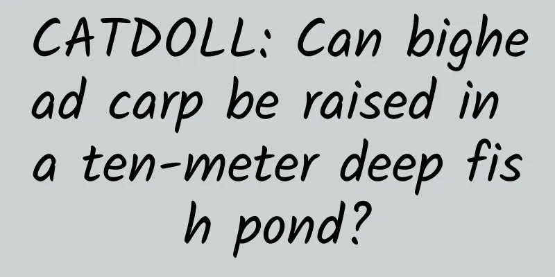 CATDOLL: Can bighead carp be raised in a ten-meter deep fish pond?