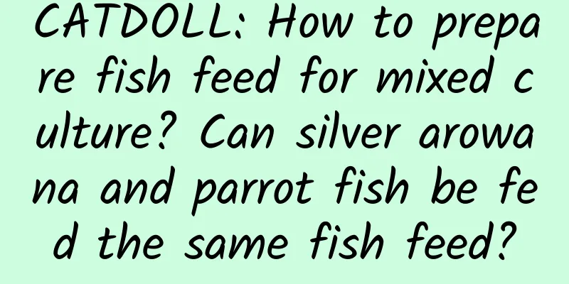 CATDOLL: How to prepare fish feed for mixed culture? Can silver arowana and parrot fish be fed the same fish feed?