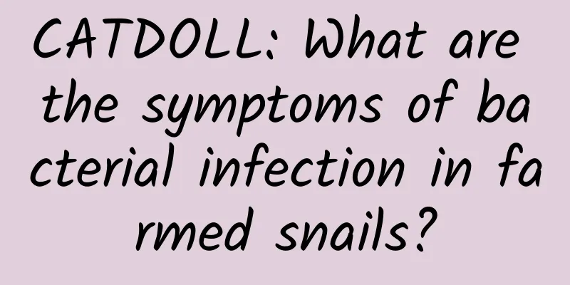 CATDOLL: What are the symptoms of bacterial infection in farmed snails?