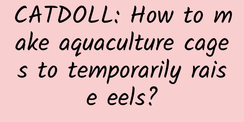 CATDOLL: How to make aquaculture cages to temporarily raise eels?