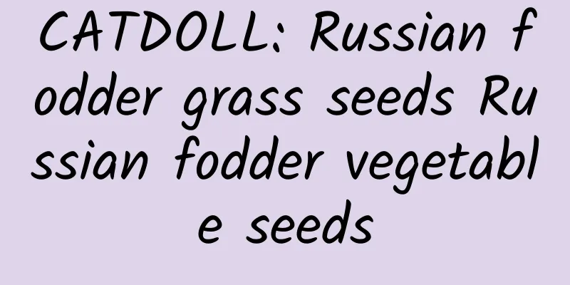 CATDOLL: Russian fodder grass seeds Russian fodder vegetable seeds